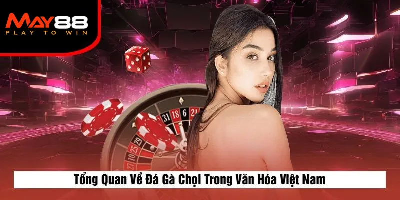 Tổng Quan Về Đá Gà Chọi Trong Văn Hóa Việt Nam