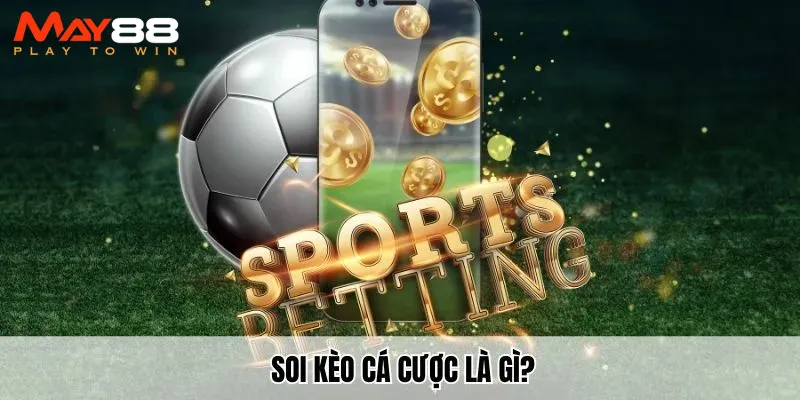 Soi kèo cá cược là gì?